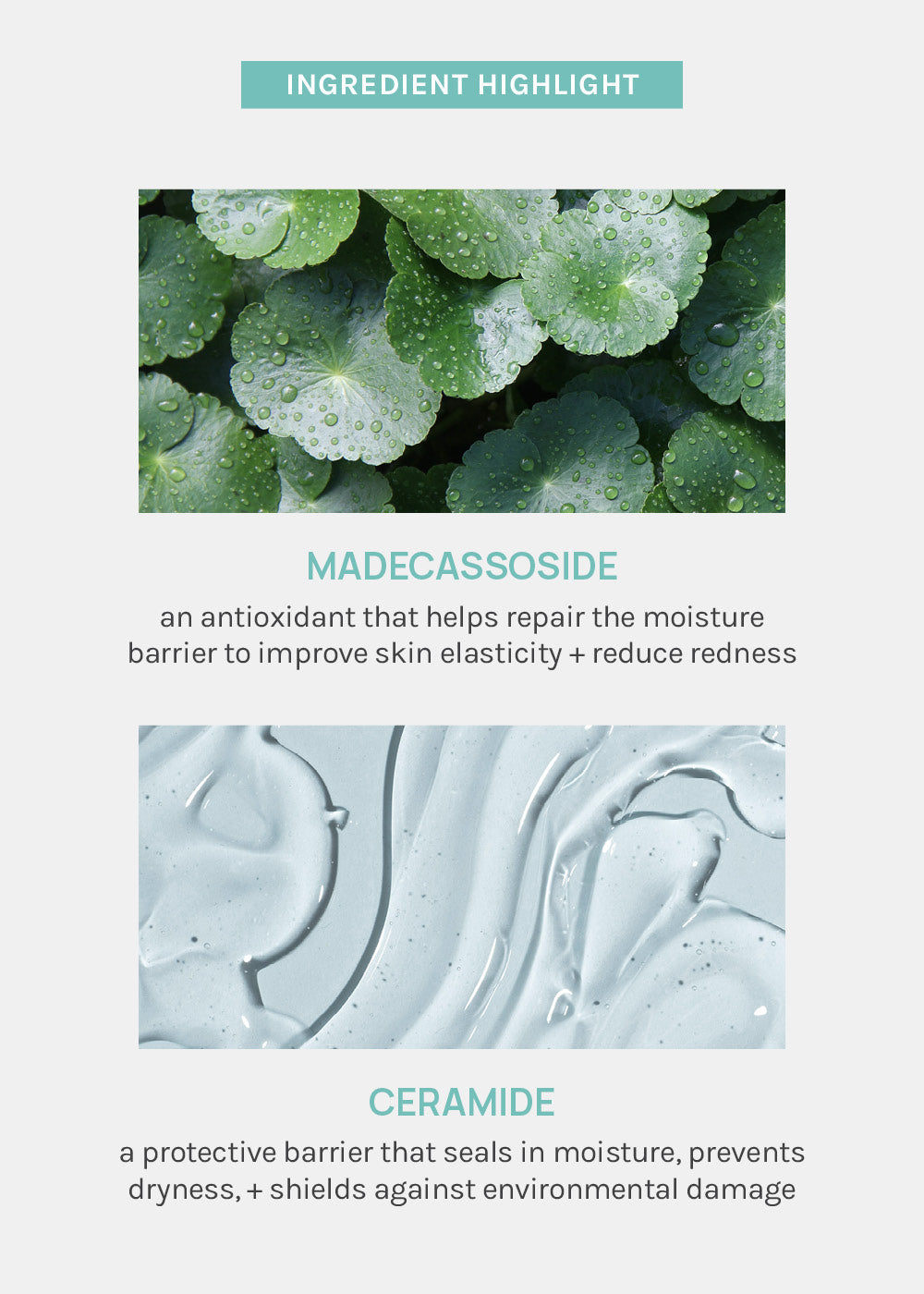 AOA Skin Madecassoside + Ceramide Sheet Mask