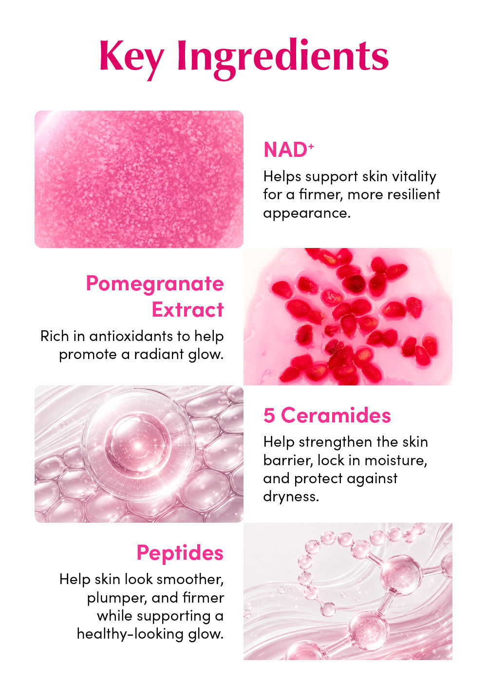 EQQUALBERRY NAD+ Peptide Boosting Serum 30ml