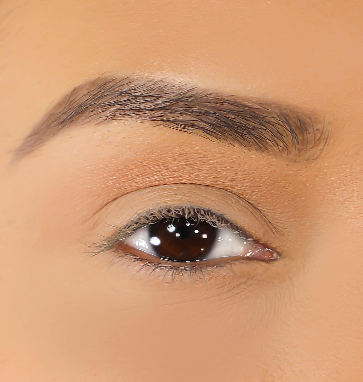 Lurella Cosmetics - 3D Mink Eyelashes - Issy
