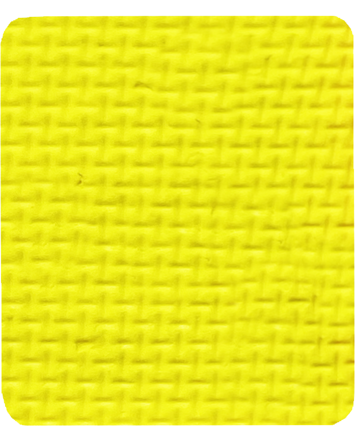 Gavissi Beauty - "LEMON LUSH" SINGLE LINER PAN (MATTE)