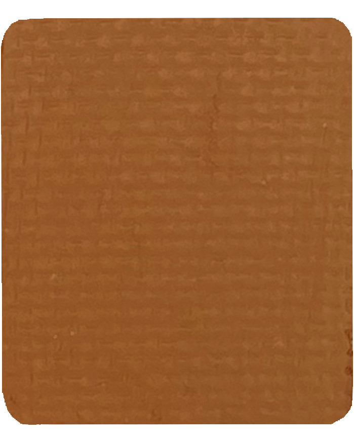 Gavissi Beauty - "MARIGOLD" SINGLE LINER PAN (MATTE)