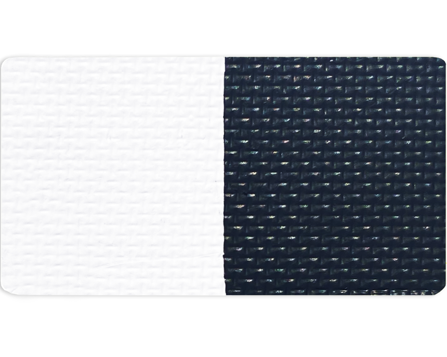 Gavissi Beauty - "MIDNIGHT"- DOUBLE SPLIT LINER PAN (MATTE)