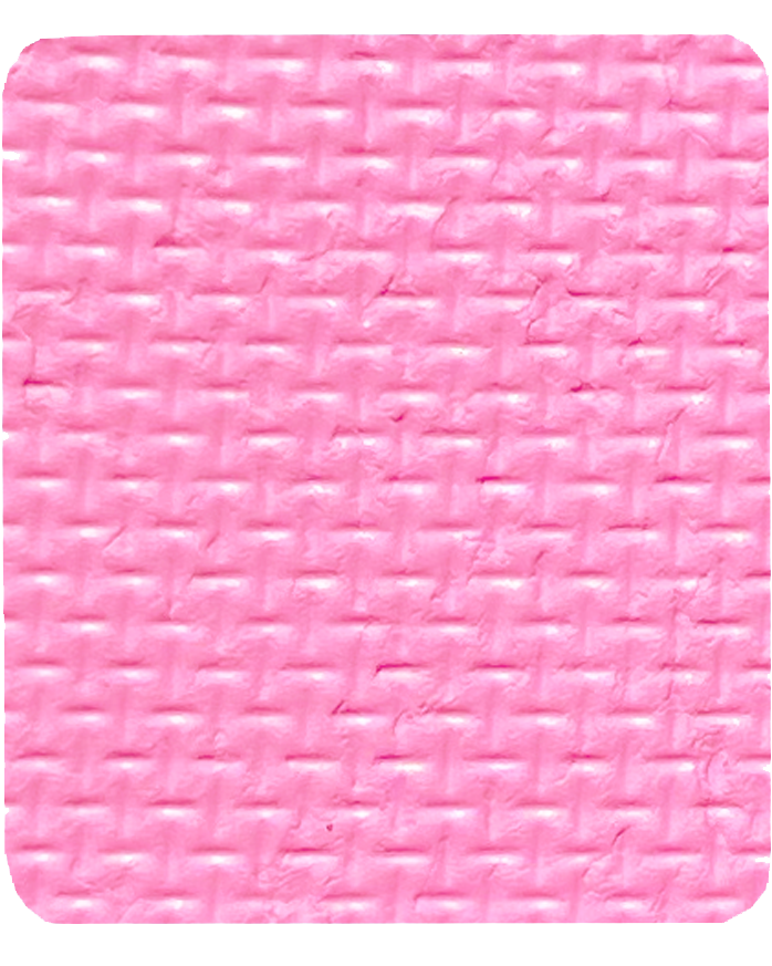 Gavissi Beauty - "PINK VELVET" SINGLE LINER PAN (UV)
