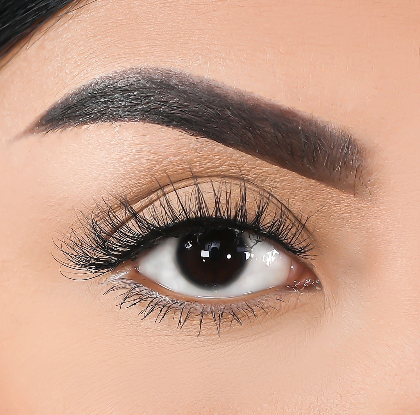 Lurella Cosmetics - 3D Mink Eyelashes - Shelby